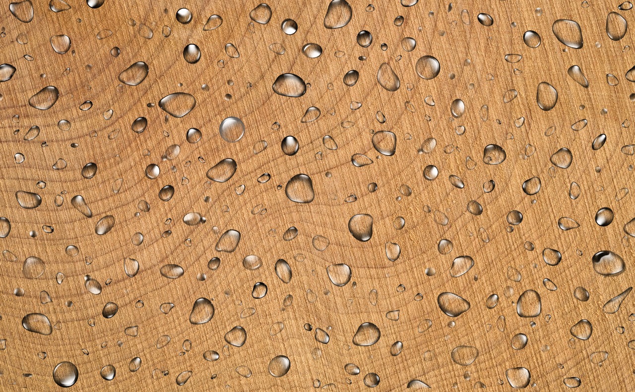 waterproof plywood in india