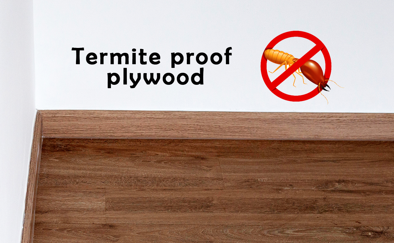 Termite proof plywood