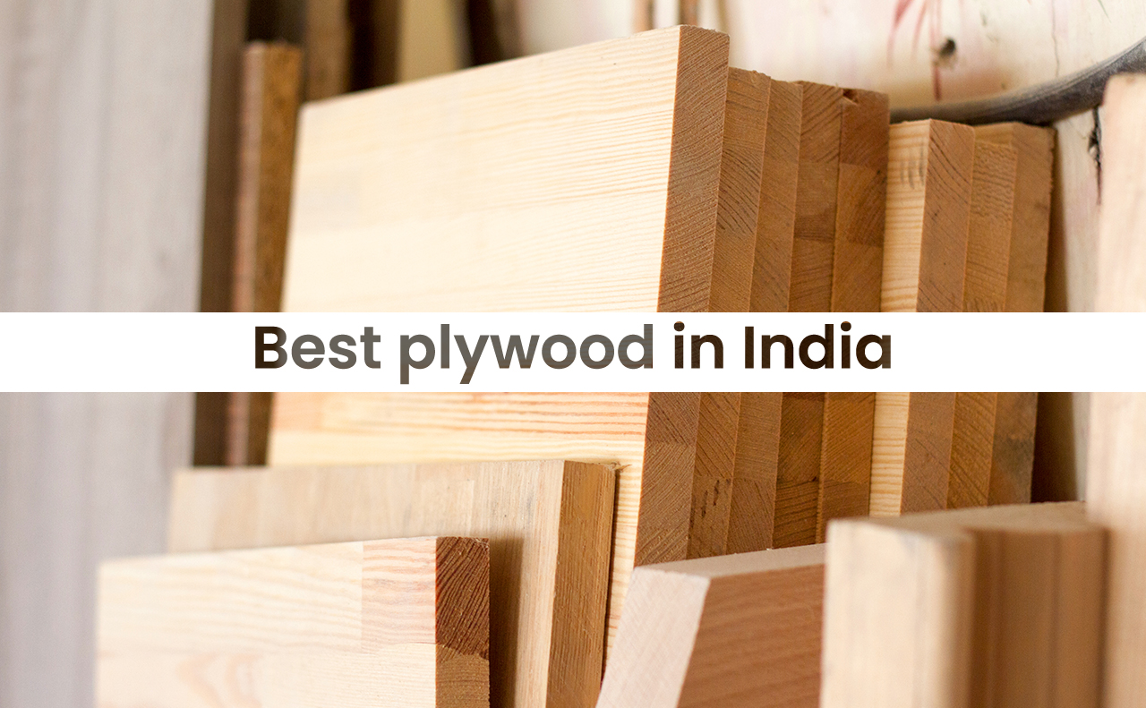 Best Plywood In India