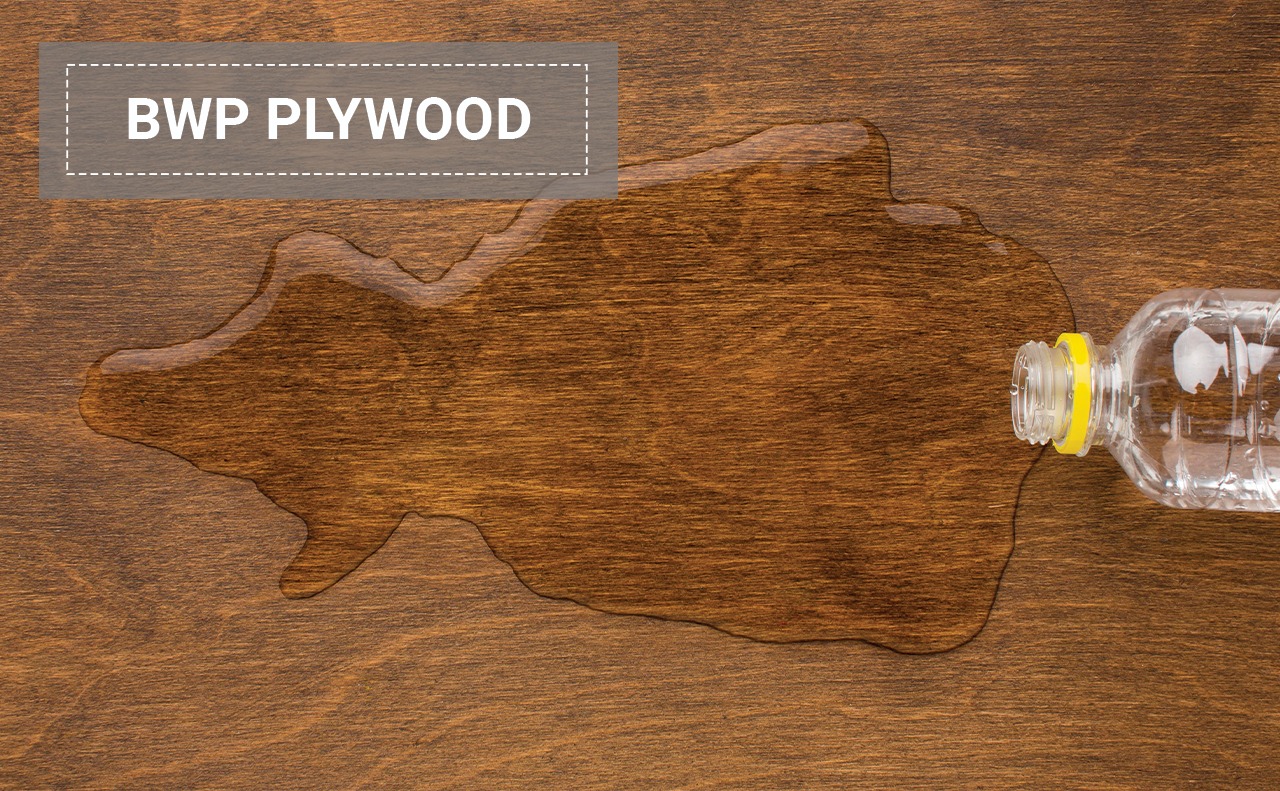 BWP Plywood